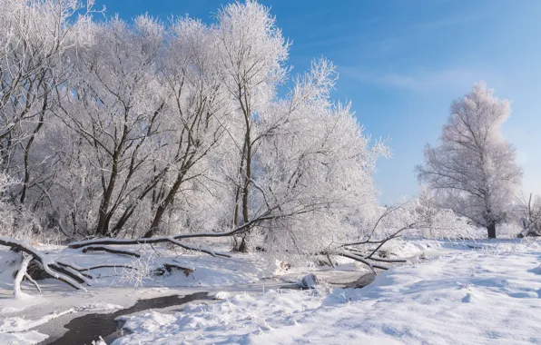 Picture winter, frost, snow, trees, landscape, nature, frost, river