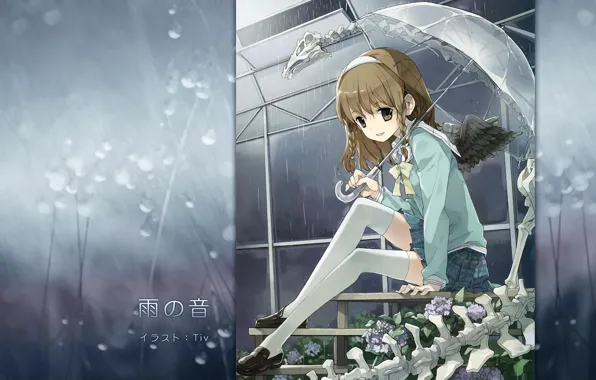 Wallpaper skeleton, schoolgirl, umbrella, sailor, braids, wings, greenhouse, drops