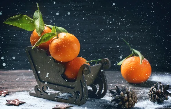 Picture winter, holiday, Board, new year, fruit, sleigh, bumps, tangerines