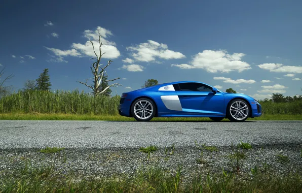 Picture Audi, Blue, Side, View, V10