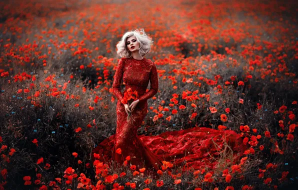 Field, summer, girl, flowers, nature, face, pose, style