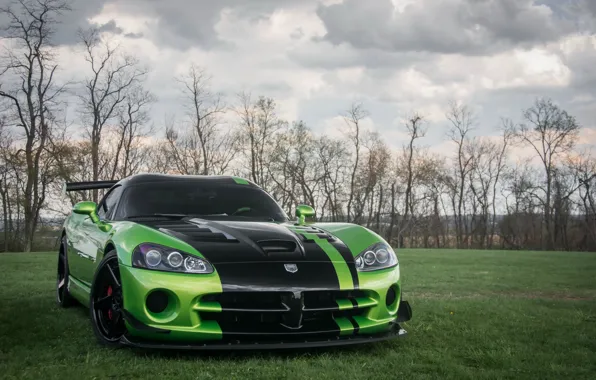 Dodge, Viper, Green, ACR