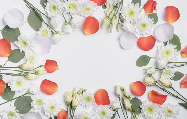 Flowers, tulips, chrysanthemum, eustoma
