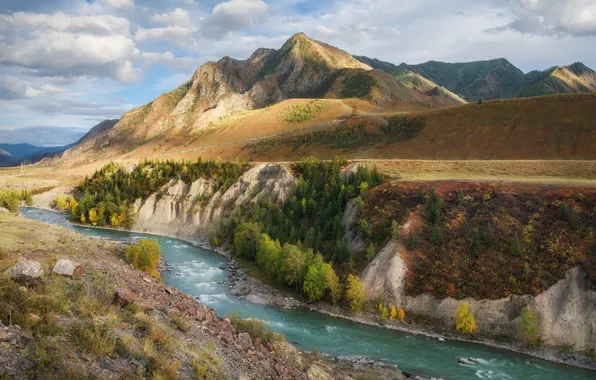 Forest, clouds, light, mountains, river, rocks, for, the slopes