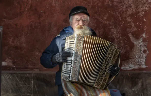 Picture music, the old man, accordion