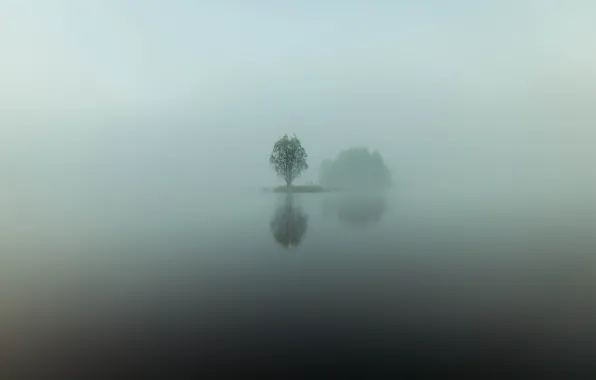 Picture water, reflection, fog, lake, tree, island, minimalism, morning