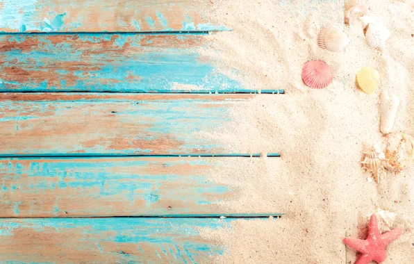 Sand, beach, background, Board, star, shell, summer, beach