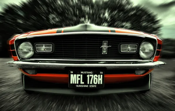 Picture Mustang, Ford, 1970, front