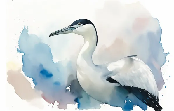 Birds, bird, figure, watercolor, bird, birds, drawing, watercolor