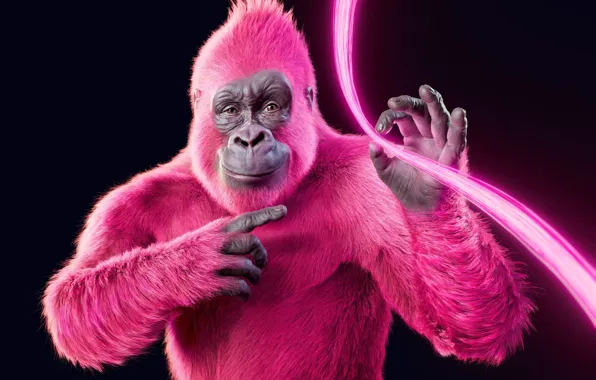 Pink, Neon, Gorilla