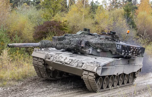 Picture dirt, the barrel, tank, Leopard 2