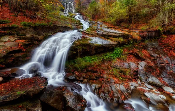 Picture autumn, forest, leaves, nature, river, waterfall