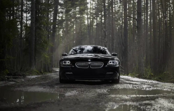 Car, machine, auto, bridge, city, fog, race, bmw