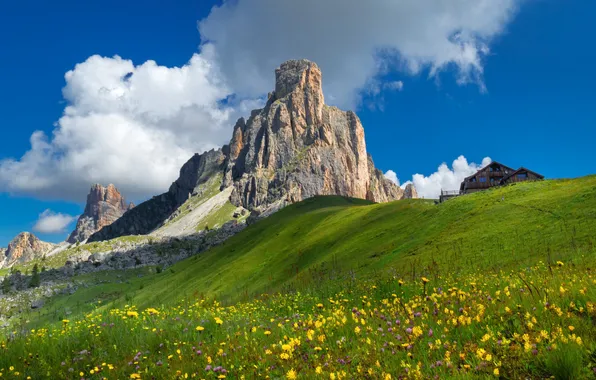 Greens, field, grass, clouds, light, flowers, mountains, blue