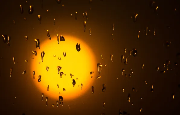Picture glass, water, the sun, drops