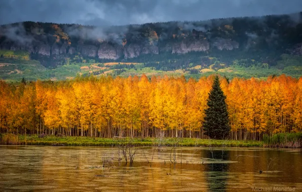 Picture autumn, Colorado, USA, state, mountain range, Rocky mountains, San Juan