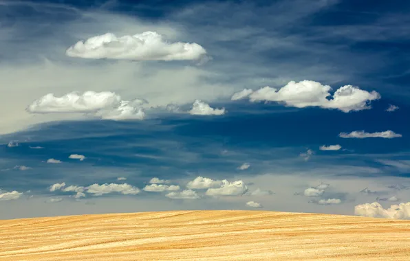 Picture the sky, clouds, field, harvest, farm
