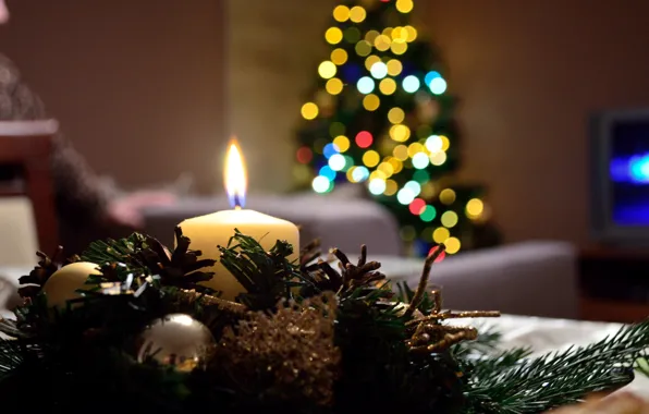 Christmas, Christmas tree, candle