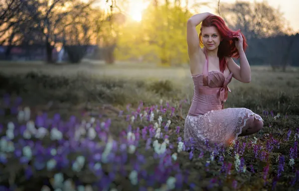 Spring, flowers, Miss Froggi