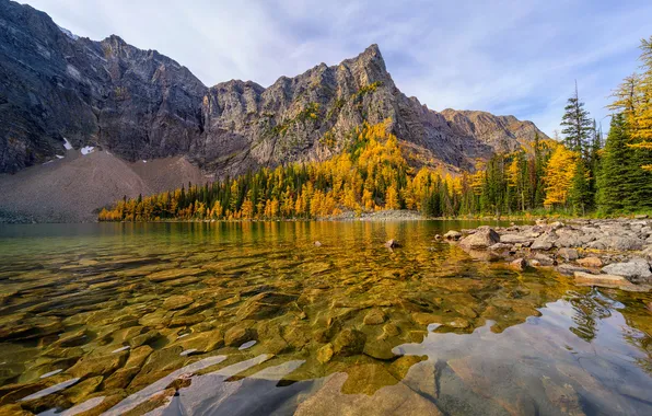 Autumn, forest, mountains, lake, stones, rocks, shore, the bottom