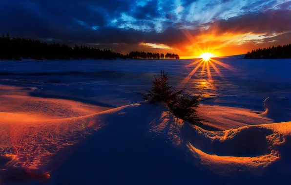 Winter, the sun, dawn