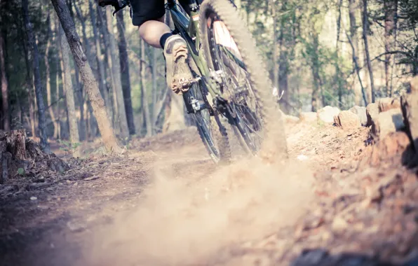 Picture bike, sport, dust