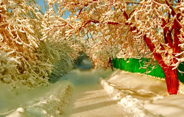 Winter, road, snow, trees, street, the fence