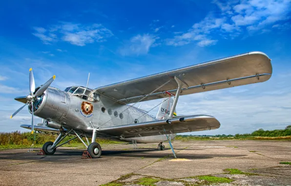 Background, the plane, the airfield, Antonov AN-2