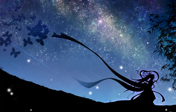 Picture the sky, girl, stars, butterfly, night, art, vocaloid, hatsune miku