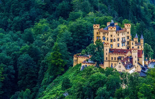Picture colorful, forest, germany, castle