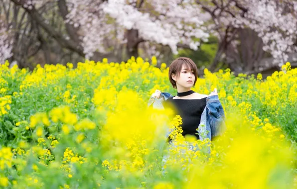 Field, girl, flowers, glade, spring, yellow, garden, Asian