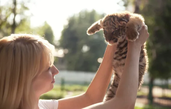 Girl, kitty, tiger