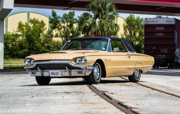 Picture Ford, Ford, 1964, Thunderbird, Thunderbird