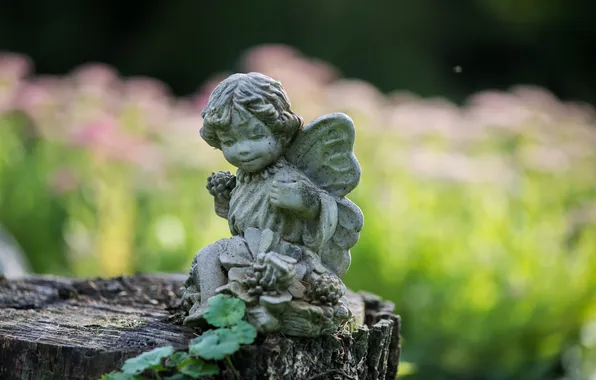 Picture leaves, stump, angel, figurine