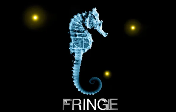 Picture x-ray, fox, face, fringe, beyond, Seahorse