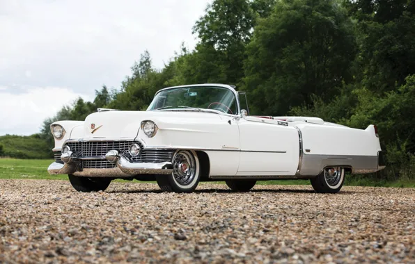 Picture Eldorado, Cadillac, white, 1954, convertible