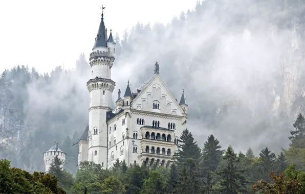 Fog, castle, beauty, castle, beautifful