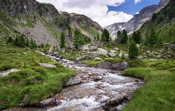 Picture greens, the sky, grass, clouds, trees, mountains, stream, stones