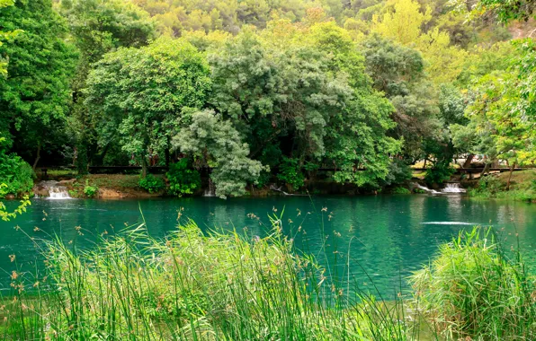 Picture greens, grass, trees, lake, Park, stream, Croatia