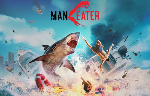 Squirt, people, shark, Maneater