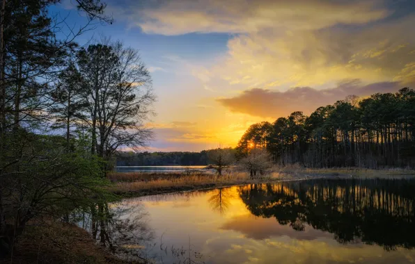 Clouds, sunset, lake, reflection, shore, pond, pine