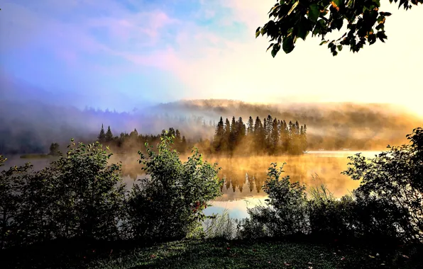 Landscape, nature, fog, lake, hills, morning, Alain Audet