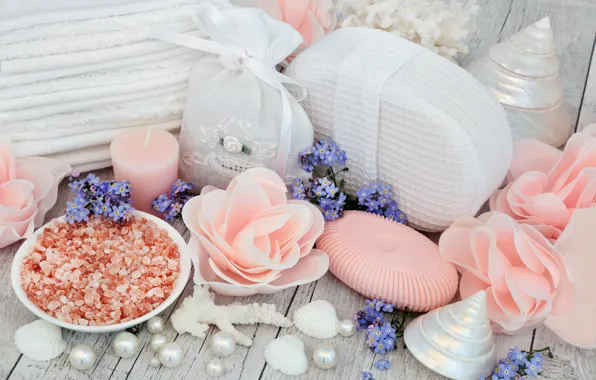 Flowers, soap, shell, flowers, bath, still life, candle, spa
