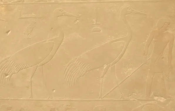 Bird, stone, people, texture, symbol, Egypt, profile, bird