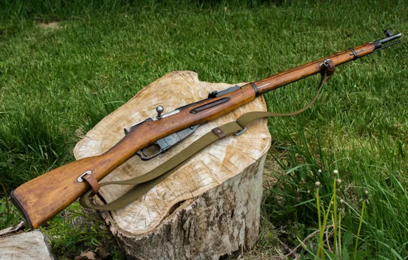 Picture weapons, stump, rifle, Mosin