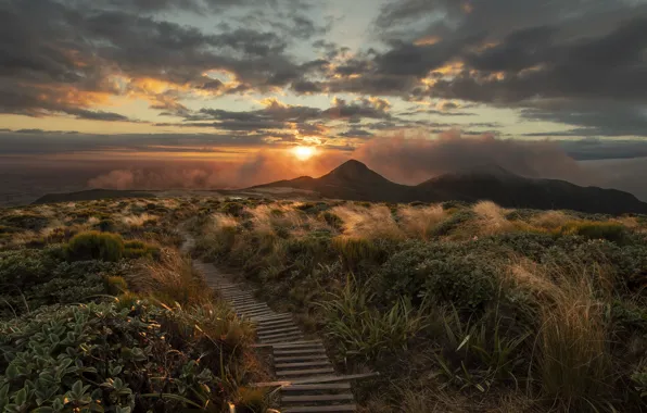 Sunset, mountains, nature