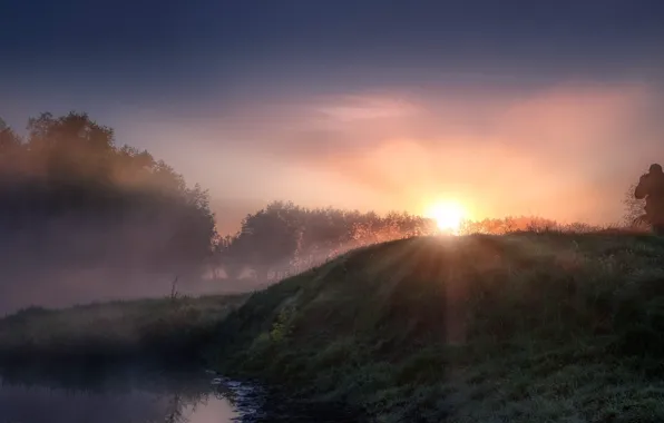 Grass, the sun, rays, trees, landscape, nature, fog, river