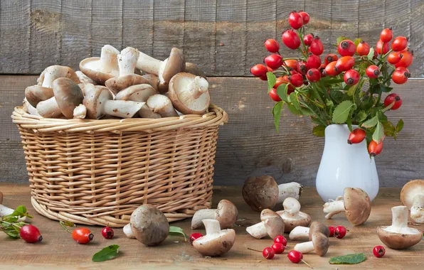 Basket, mushrooms, briar, hawthorn