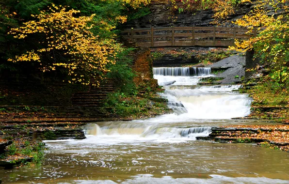 Autumn, leaves, trees, bridge, river, rocks, stream, thresholds