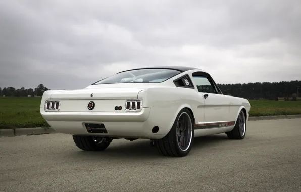 Ford, Ford Mustang, Blizzard, 1965, White, Fastback, Side, Rear